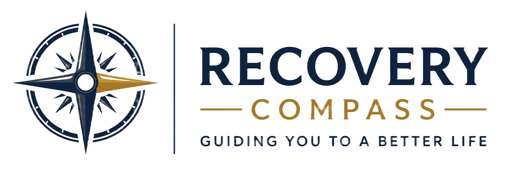Recovery Compass